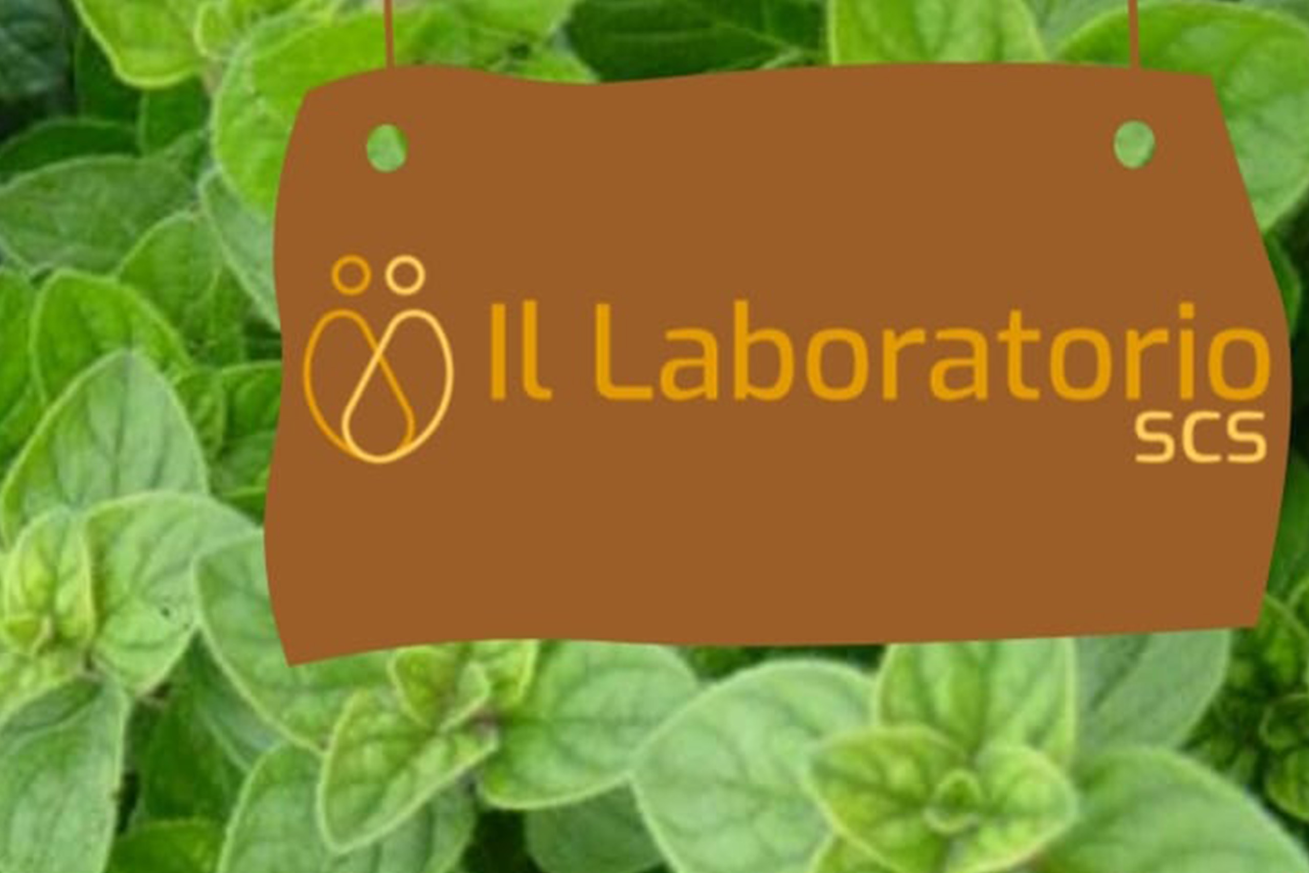 Scopri come poter aiutare e supportare attivamente il Laboratorio SCS